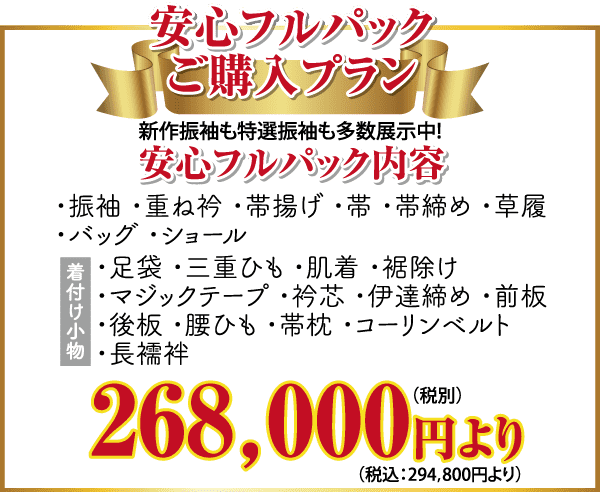 この画像は購入プランの広告です。背景は金色と赤色で、プランの特徴と価格を日本語で表示しています。下部には、価格「268,000円」が赤と金色の大きな文字で大きく表示され、その下に税込価格「294,800円」と表示されています。.